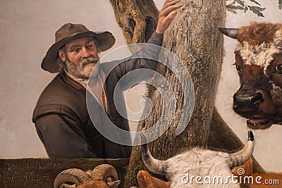 Close-up shepherd, painting the young bull, by Paulus Potter Editorial Stock Photo